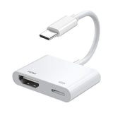 Zore Type-C to Type-C PD100W + HDMI 4K@30Hz 2in1 Adaptör